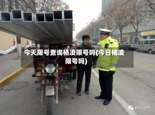 今天限号查询杨凌限号吗(今日杨凌限号吗)-第2张图片