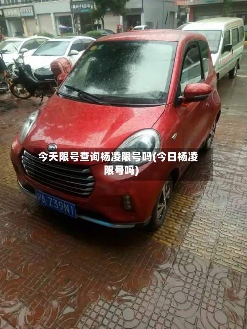 今天限号查询杨凌限号吗(今日杨凌限号吗)