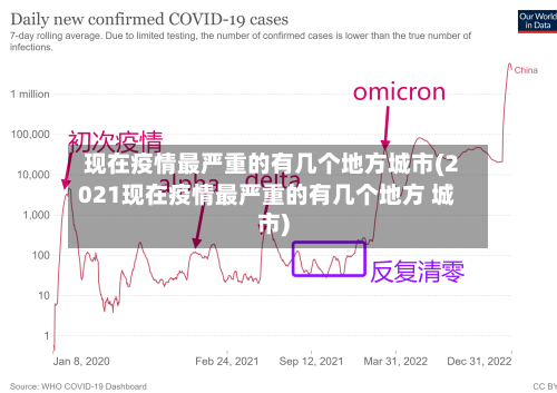 现在疫情最严重的有几个地方城市(2021现在疫情最严重的有几个地方 城市)-第2张图片