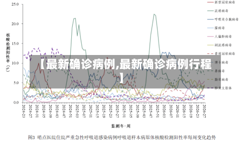 【最新确诊病例,最新确诊病例行程】