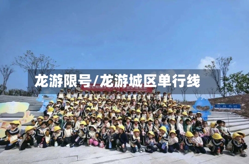 龙游限号/龙游城区单行线-第2张图片
