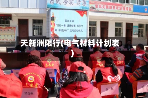 天新洲限行(电气材料计划表)