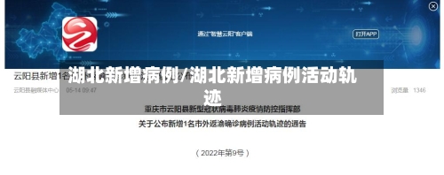 湖北新增病例/湖北新增病例活动轨迹-第3张图片