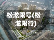 松滋限号(松滋限行)
