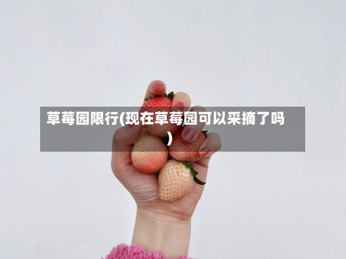草莓园限行(现在草莓园可以采摘了吗)
