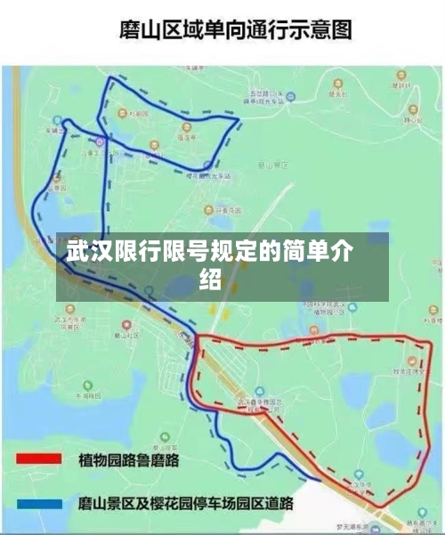 武汉限行限号规定的简单介绍