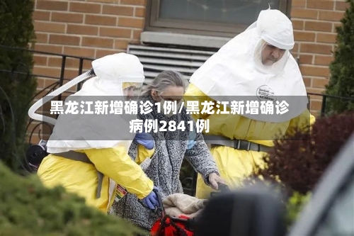 黑龙江新增确诊1例/黑龙江新增确诊病例2841例-第2张图片