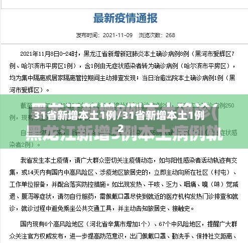 31省新增本土1例/31省新增本土1例2-第2张图片