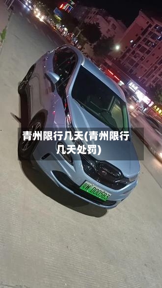 青州限行几天(青州限行几天处罚)