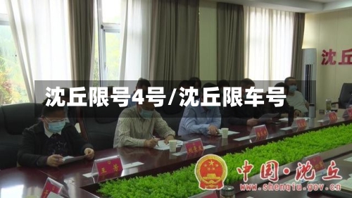 沈丘限号4号/沈丘限车号-第3张图片
