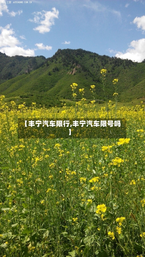 【丰宁汽车限行,丰宁汽车限号吗】