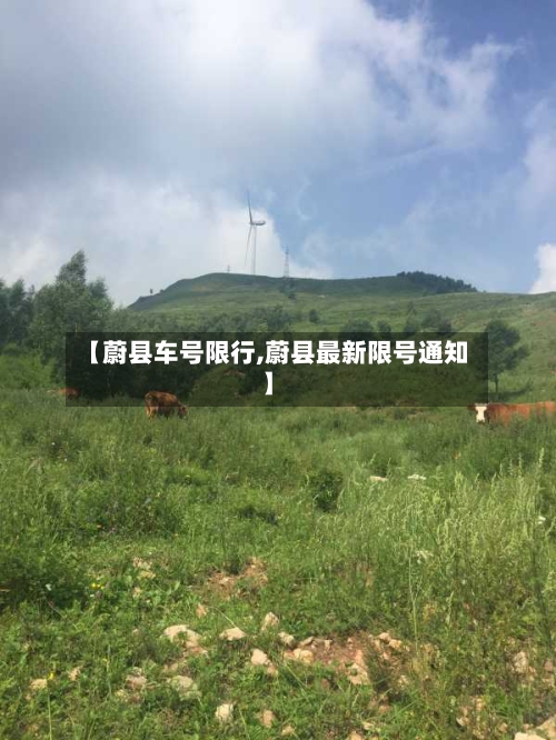 【蔚县车号限行,蔚县最新限号通知】