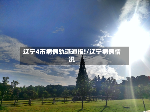 辽宁4市病例轨迹通报!/辽宁病例情况-第2张图片