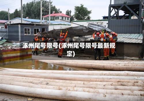 涿州尾号限号(涿州尾号限号最新规定)