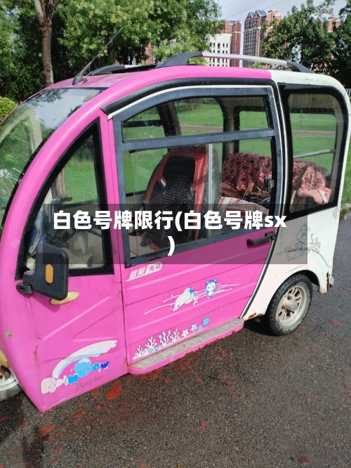 白色号牌限行(白色号牌sx)