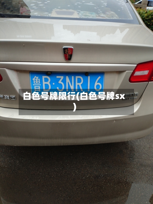 白色号牌限行(白色号牌sx)-第2张图片