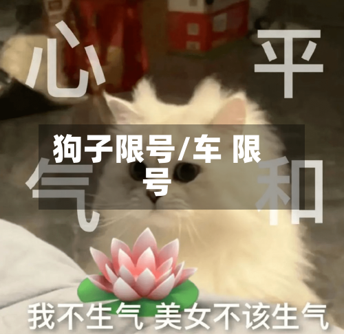 狗子限号/车 限号