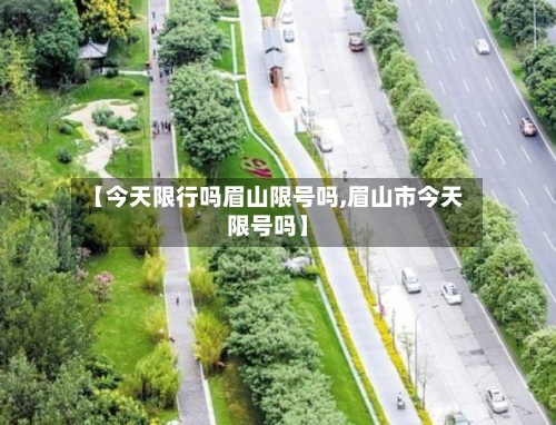【今天限行吗眉山限号吗,眉山市今天限号吗】