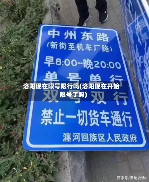 洛阳现在限号限行吗(洛阳现在开始限号了吗)