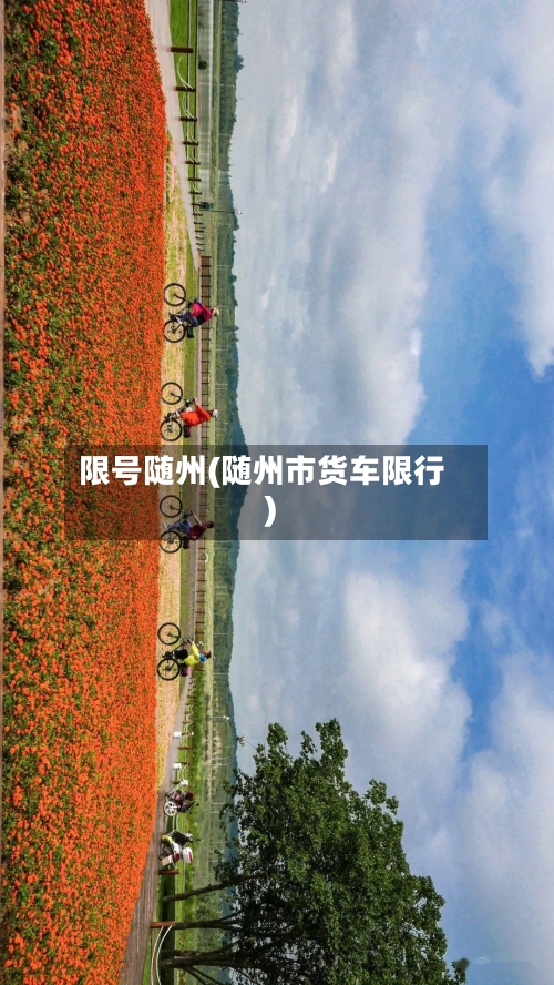 限号随州(随州市货车限行)-第3张图片
