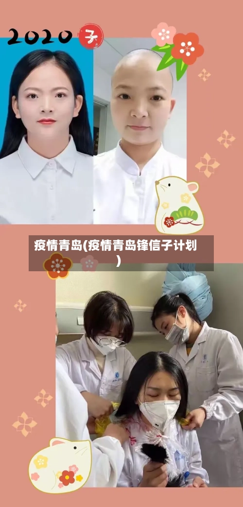 疫情青岛(疫情青岛锋信子计划)-第2张图片