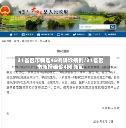 31省区市新增45例确诊病例/31省区市新增确诊4例 新闻-第3张图片