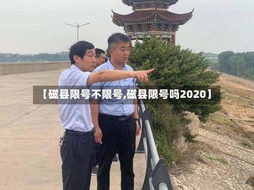 【磁县限号不限号,磁县限号吗2020】-第3张图片