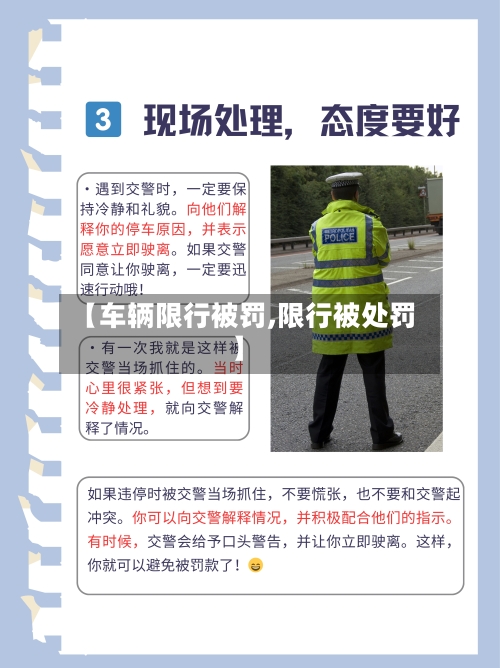 【车辆限行被罚,限行被处罚】-第3张图片