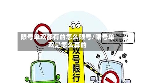 限号单双都有的怎么限号/限号单双是怎么算的-第2张图片