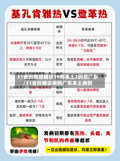 31省份新增确诊16例本土2例在广东/31省份确诊病例广东本土病例-第2张图片