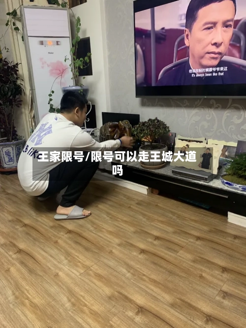 王家限号/限号可以走王城大道吗